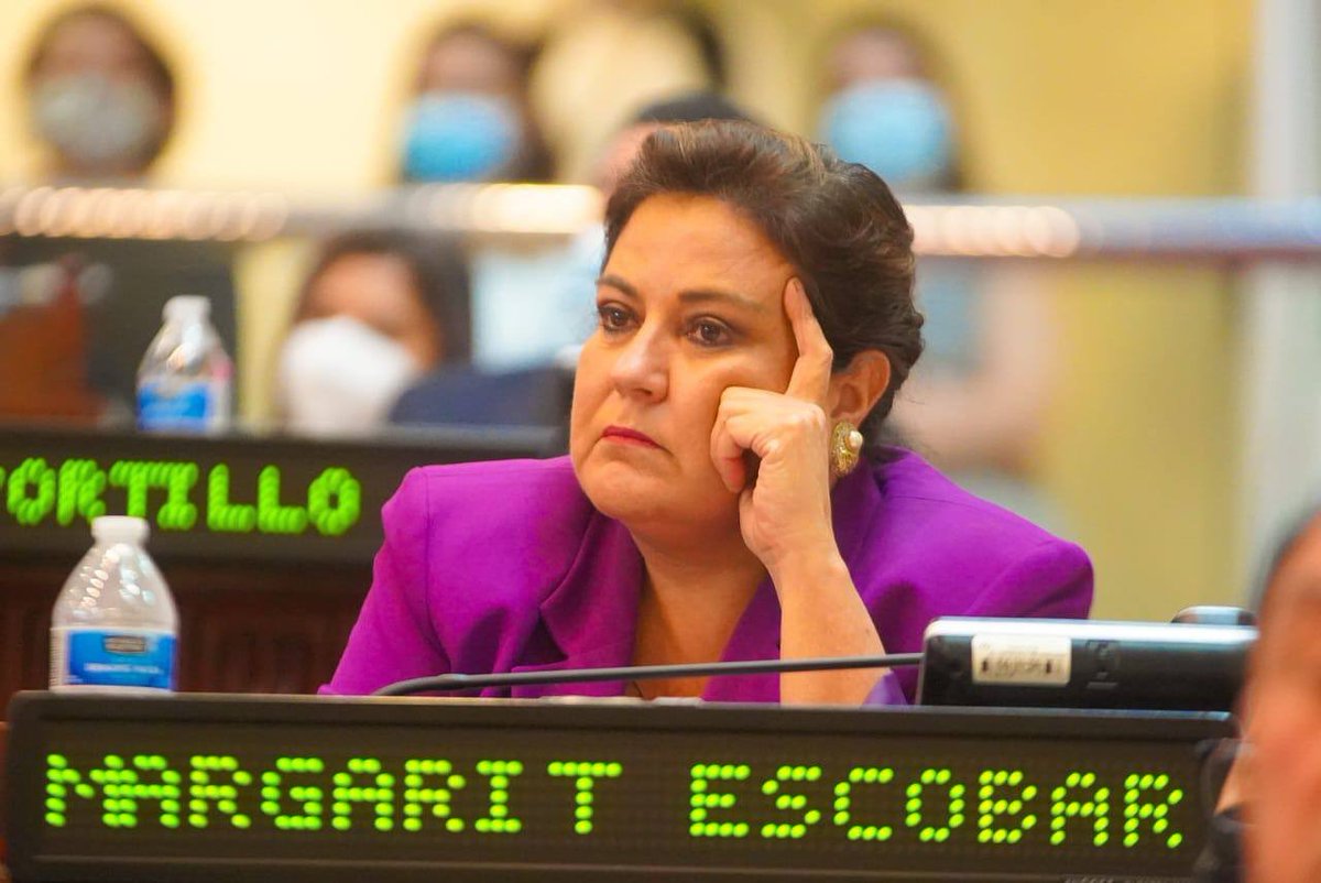 Margarita Escobar solicita permiso definitivo y exoneración del cargo hasta el final de actual legislatura margarita-escobar-solicita-permiso-definitivo-y-exoneracion-del-cargo-hasta-el-final-de-actual-legislatura
